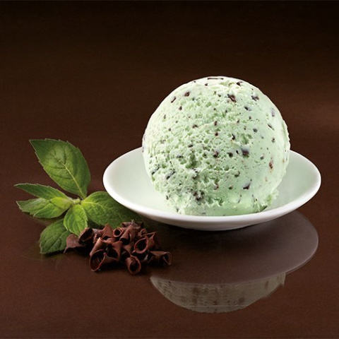 Lody GRYCAN o smaku mięta z czekoladą 1100ml Lody GRYCAN o smaku mięta z czekoladą 1100ml